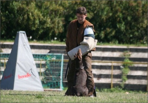 Sasha - Estonia championship 2007  in IPO 3